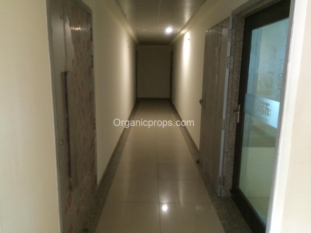 WhatsApp Image 2023-06-01 at 420230601174930028.jpeg